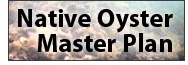 Native Oyster Master Plan image