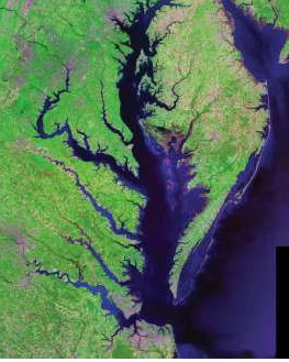 chesapeake bay landsat