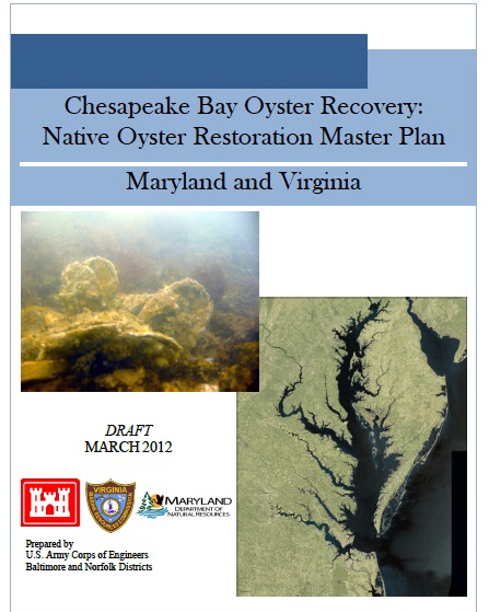 Cover USACE Master Plan
