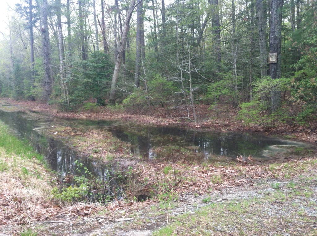 Blocked VDOT roadside ditch flooding adjacent land.