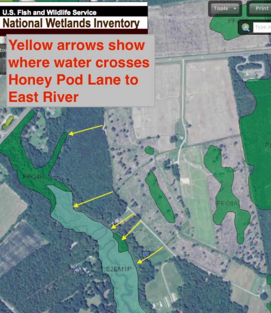 Yellow arrows placed on National Wetlands Inventory map show runoff channels crossing Honey Pod Lane from proposed site.