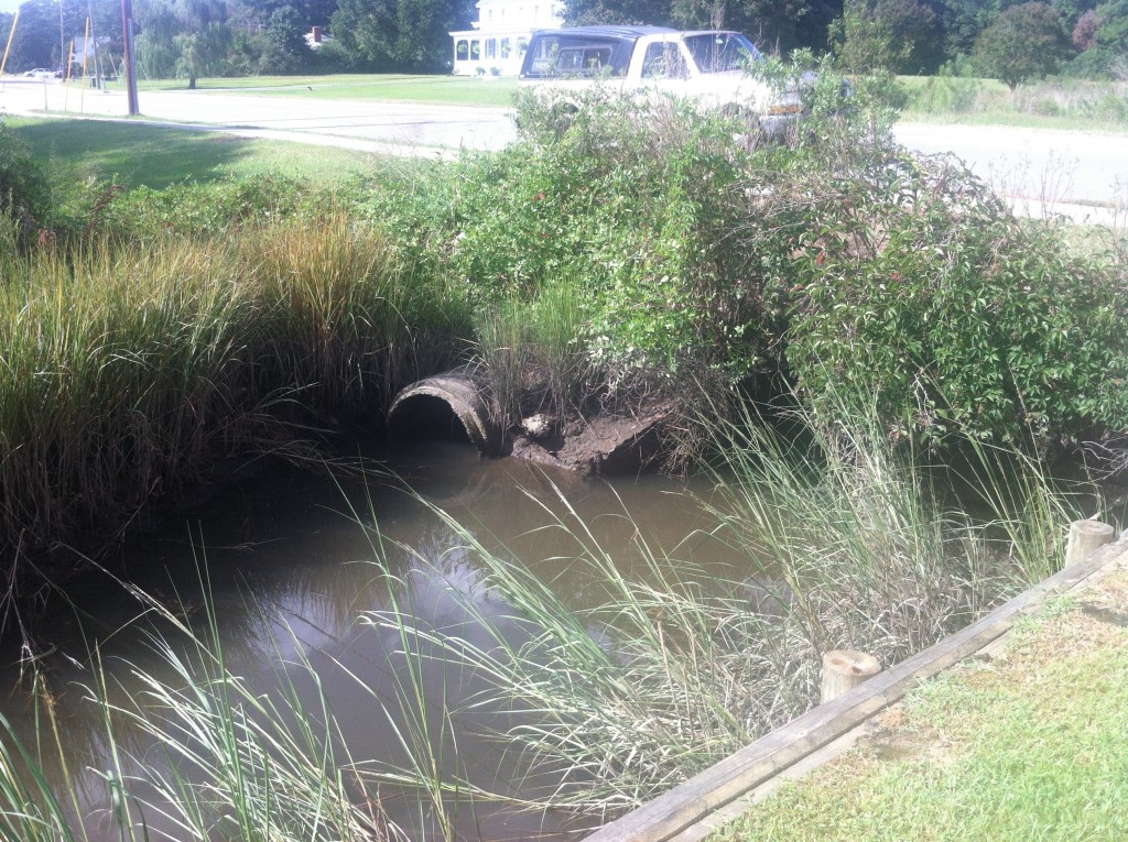 Put In Creek at Church Street 42" pipe two hours before predicted low tide of .28 ft Photo: CJ Bova