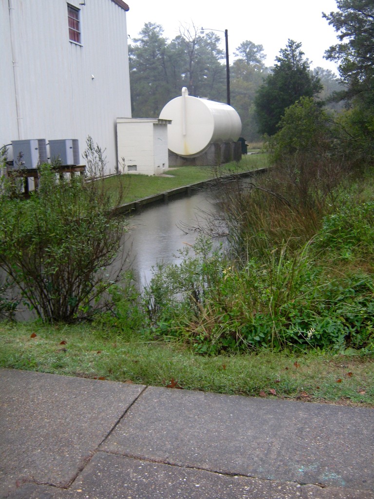 Put In Creek after 2.9 ft high tide Photo: CJ Bova
