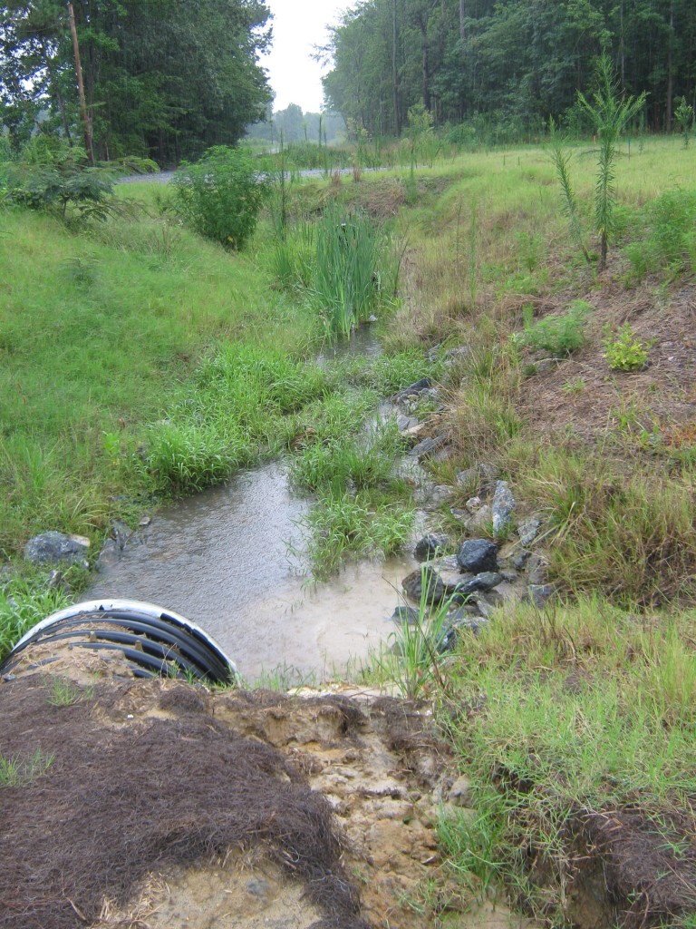 Wards Corner, July 21, 2012 Photo: C. J. Bova