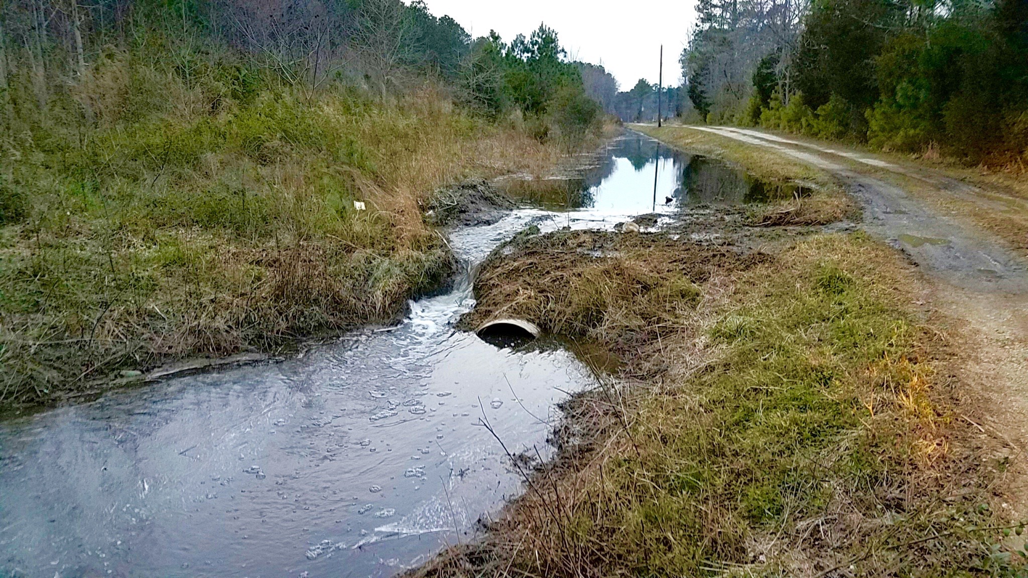 Wards Corner Outfall Beaver Dam 